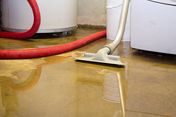 Best Water damage restoration near me  in Connelly Springs, NC